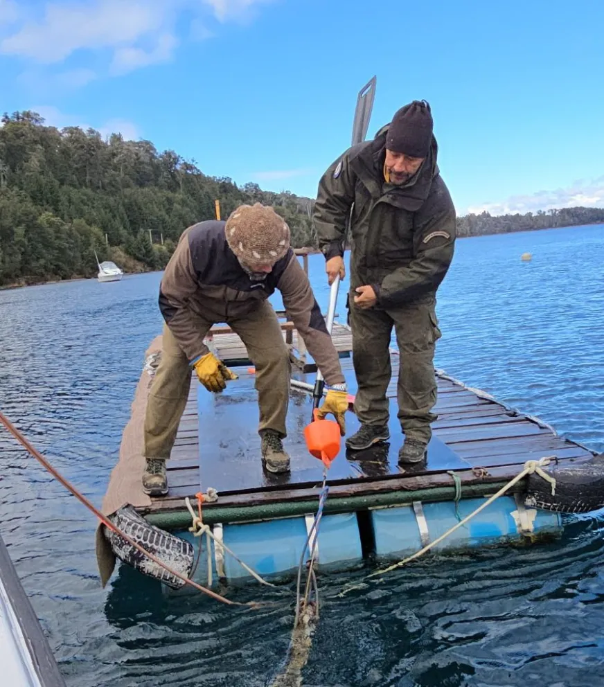Retiro de Boyas en el lago: PN explicó cómo sigue el procedimiento y la situación en Cumelén y Puerto Elma