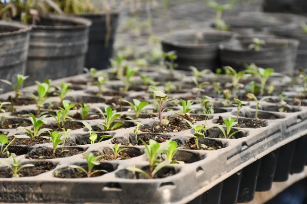 En una acción conjunta para preservar el ambiente, realizan un “rescate de Renovales”