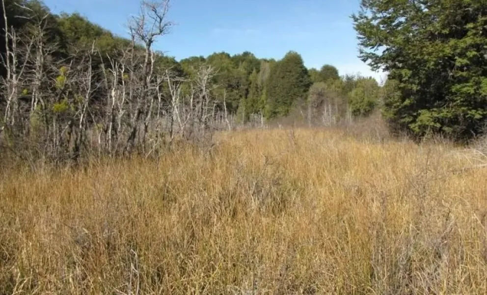 Invitan a vecinos a conocer cómo es el Proyecto de Conservación de Mallines