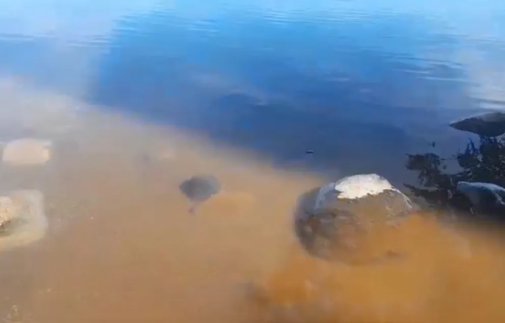 El complejo Central Urban fue infraccionado por derramar líquidos cloacales crudos al Lago Nahuel Huapi: (Video)