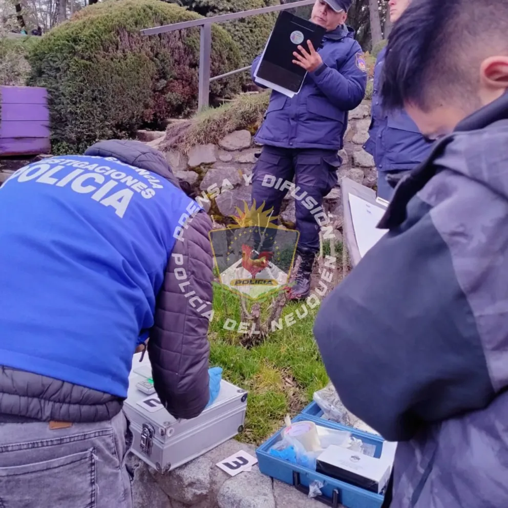 Dos detenidos con pedido de captura y posesión de estupefacientes 