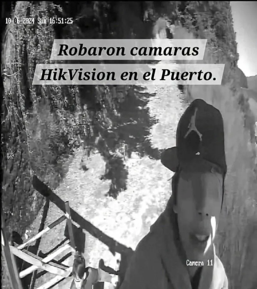 Vecinos denuncian el robo de cámaras de seguridad en el barrio El Puerto: los delincuentes quedaron filmados
