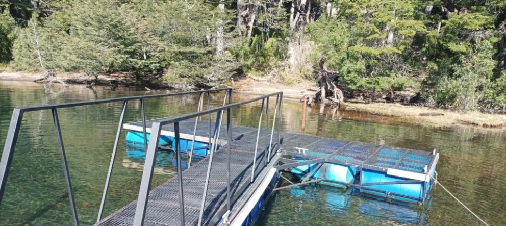 Parques Nacionales secuestró de un muelle ilegal en el Brazo Tristeza