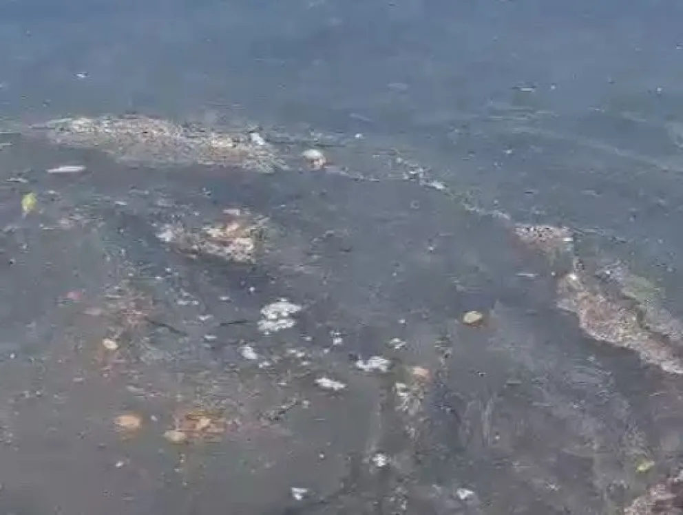 Vecinos alertaron sobre una posible contaminación en el agua del Lago Correntoso