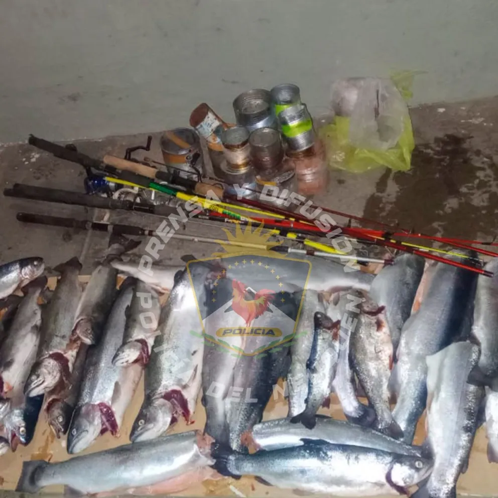 Policía decomisó truchas pescadas furtivamente en la región