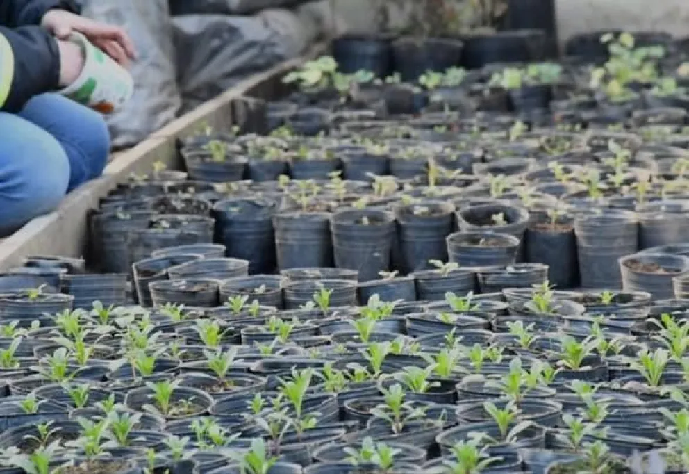 Se viene un nuevo encuentro de prácticas sobre labores de jardinería primavera-verano