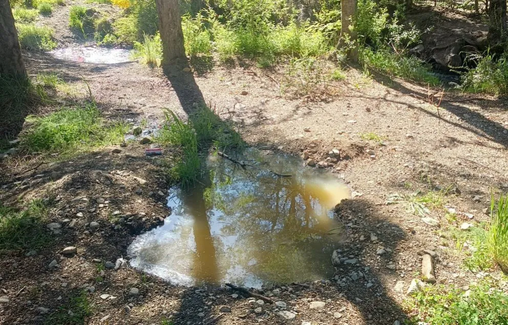 Derrame de liquidos cloacales a metros del Arroyo Piedritas en la zona de Pascotto (Video) 