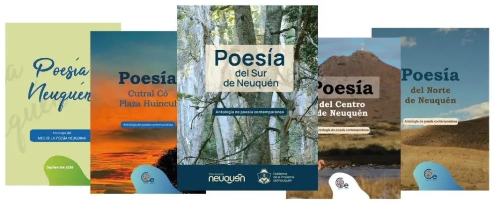 Poesía del sur de Neuquén: la nueva obra de la editorial de Educación con presencia angosturense