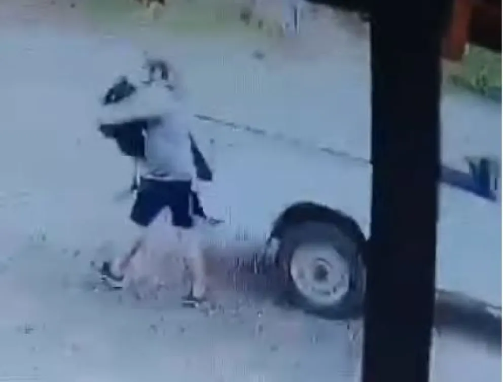 Robó una mochila de una camioneta y quedó registrado por las cámaras de seguridad (Video)