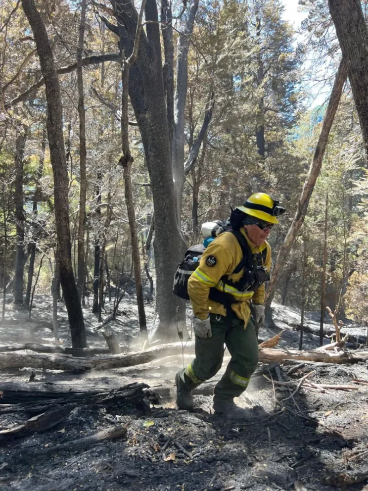 Incendio Los Manzanos: suspenden actividades náuticas en lagos Steffen y Los Moscos