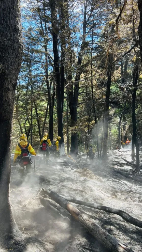 Incendio Los Manzanos: pese a la lluvia, el  fuego continúa activo en todo su perímetro