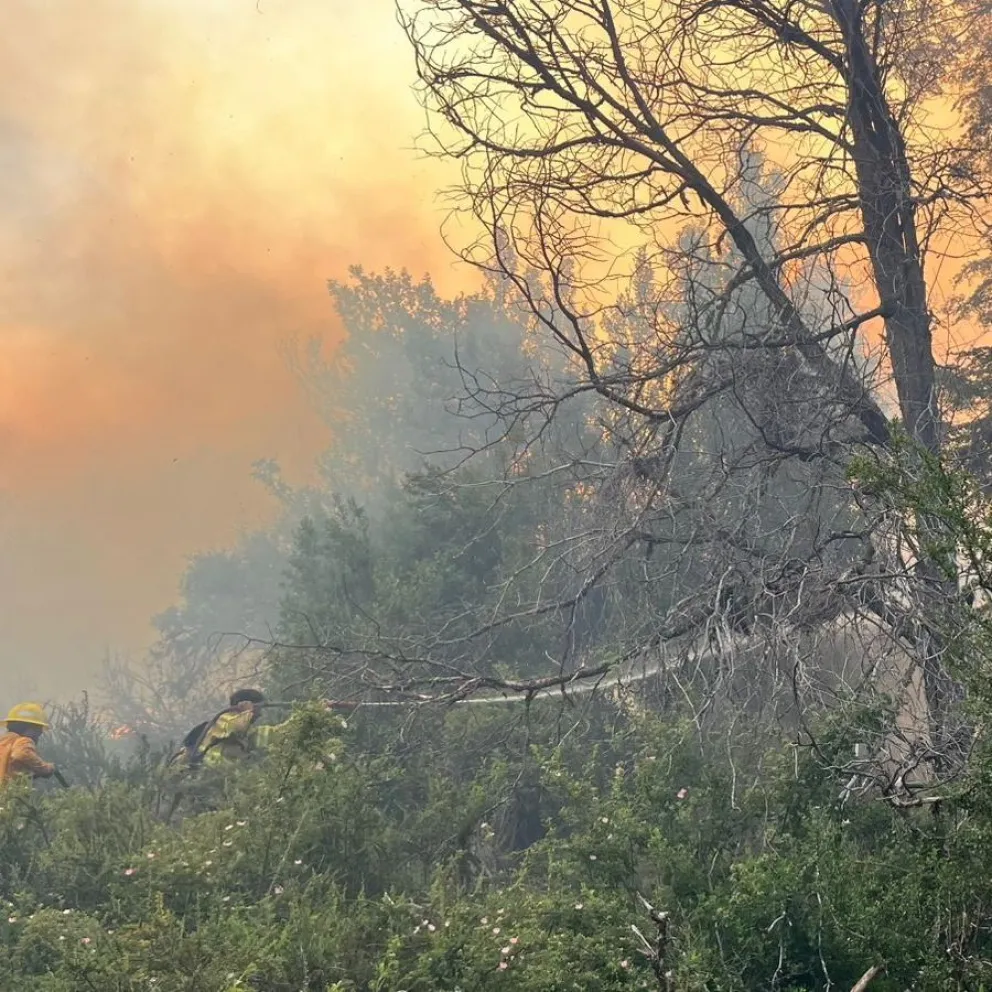Fue contenido el incendio en Meliquina: afectó 10 hectáreas y movilizó a más de 70 personas