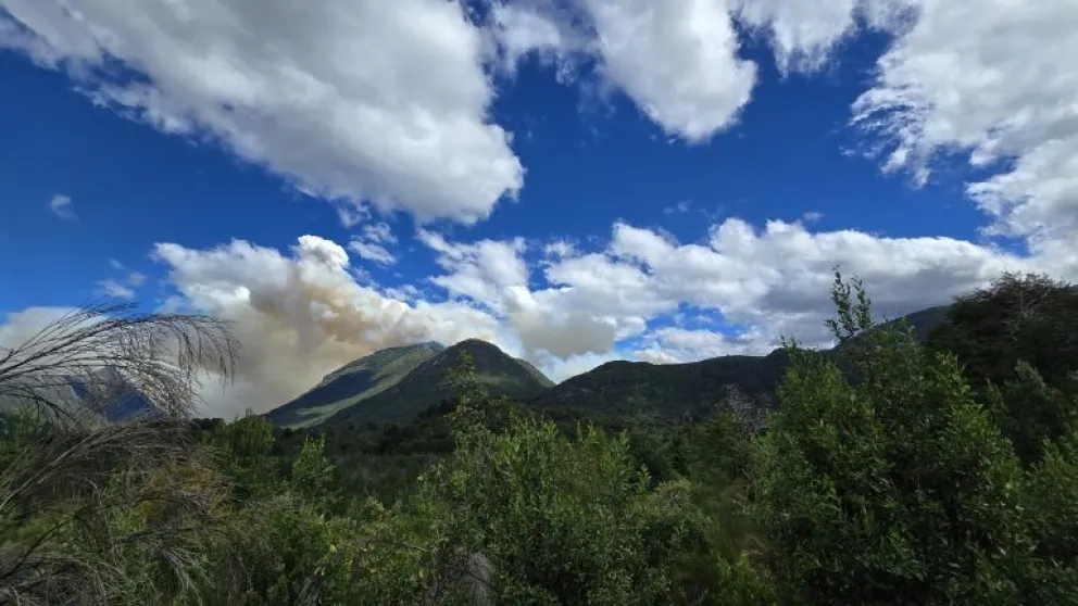 Incendio en Los Manzanos: vientos intensos complicaron el combate del fuego 