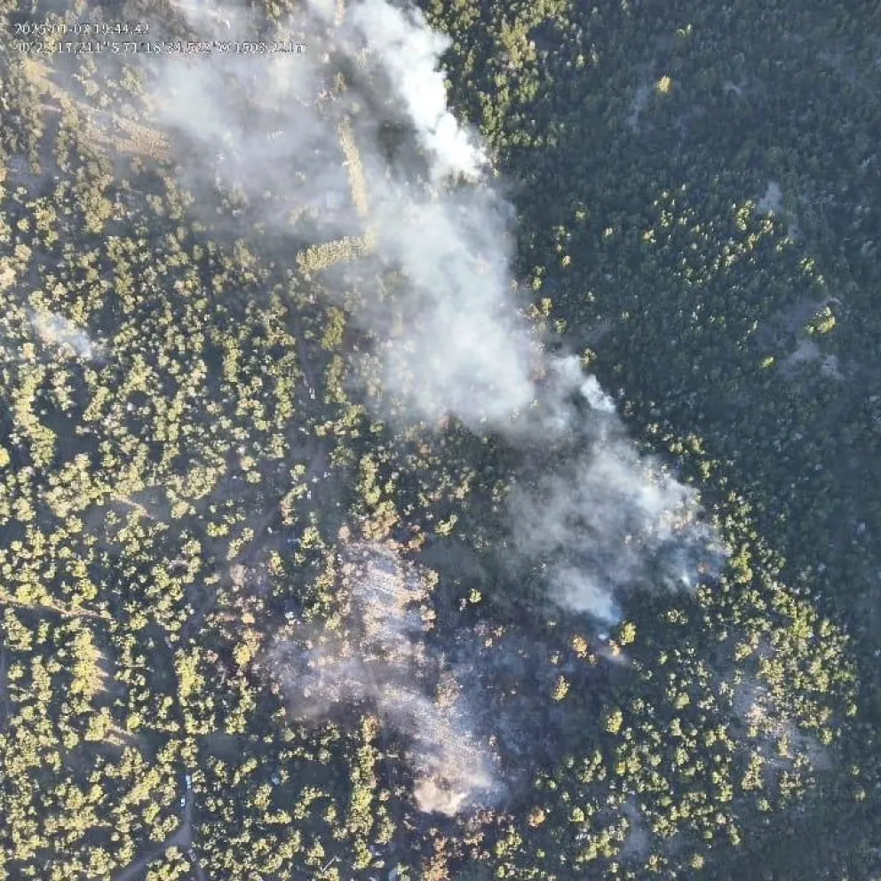 El incendio en el Parque Nahuel Huapi se detendrá por completo recién en abril", advierte Greenpeace