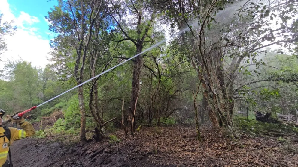 Incendio en Los Manzanos: ya son más de 5100 hectáreas afectadas y preocupa la propagación hacia el Lago Steffen