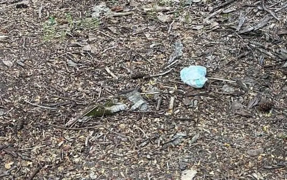 Clic Urbano: “un pañal usado, simplemente tirado en el sendero del Río Bonito”