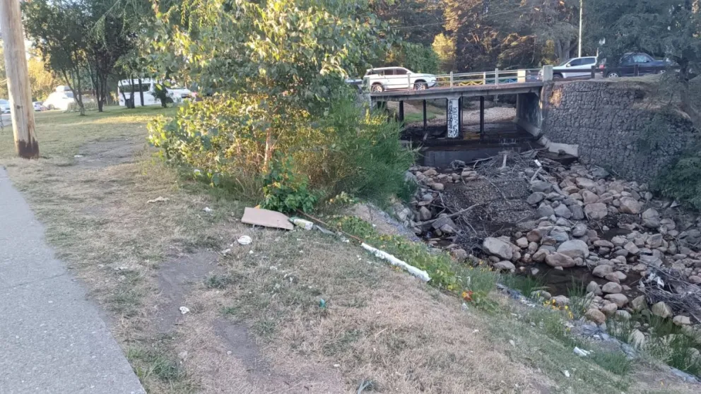 Clic Ubano: "la falta de cestos de basura y sus consecuencias"