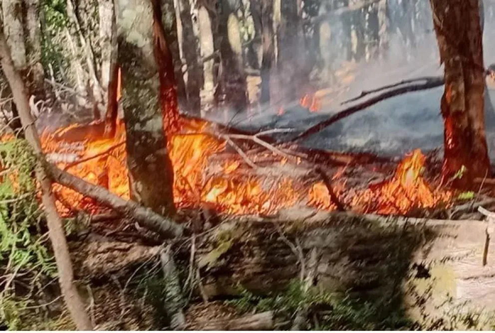 Lago Falkner: habrían intentado quemar la casa del guardaparques tras la suspensión de fiestas electrónicas