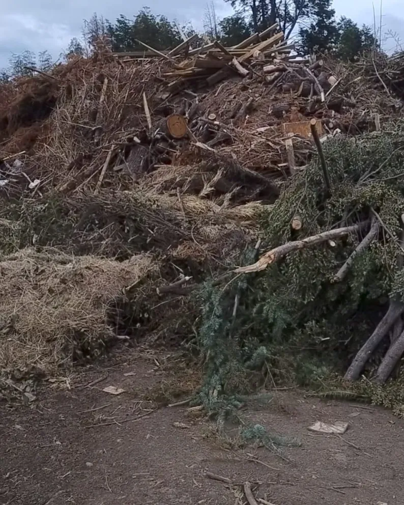 El municipio prohibió llevar residuos forestales a la planta de basura "hasta nuevo aviso"