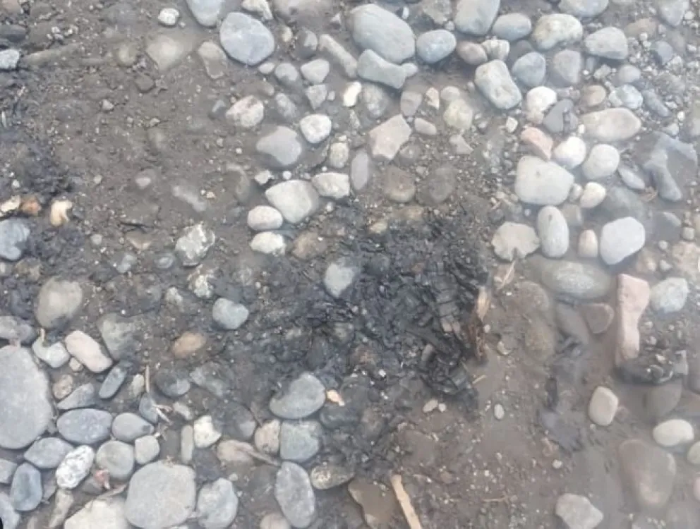 Sofocaron un "principio de incendio intencional" provocado por un encapuchado, en el Paseo Barreiro