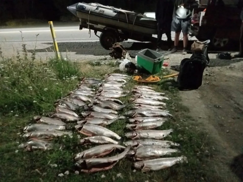 Sorprendieron a tres vecinos de la localidad que trasladaban 46 truchas pescadas de manera ilegal 