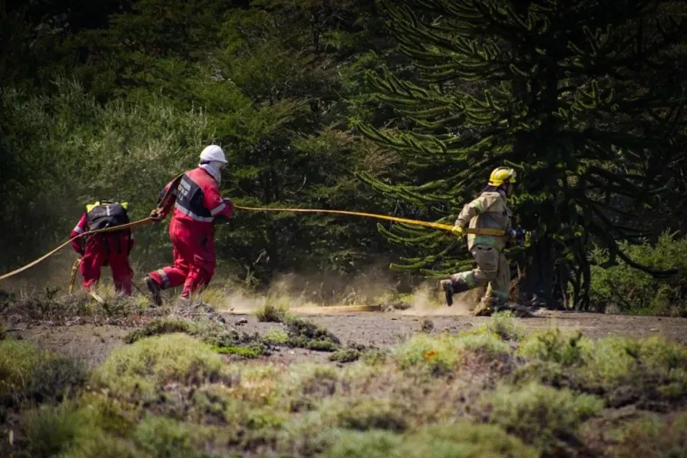 Incendio en Parque Lanín: el perímetro es de 15.200 ha, cerca de 6.000 fueron afectadas por el fuego