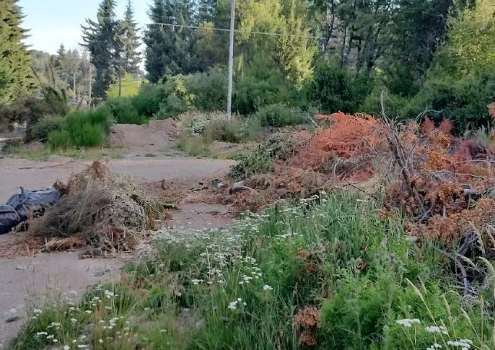“El Basurero Municipal, si bien abarrotado de restos forestales, es un solo punto a controlar”