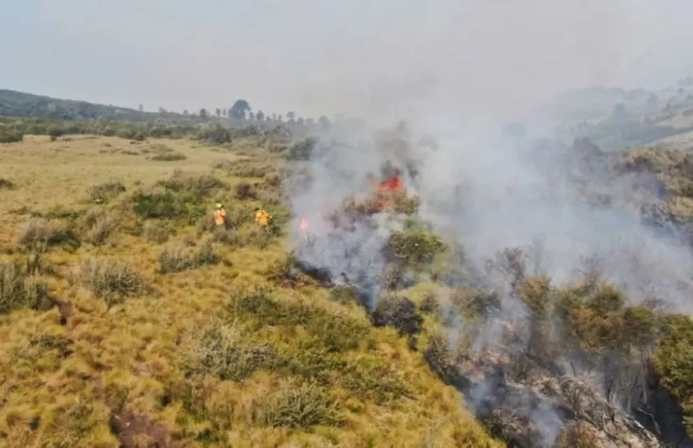 Incendio en el Parque Nacional Lanín: la lluvia y la nieve favorecieron el control del fuego