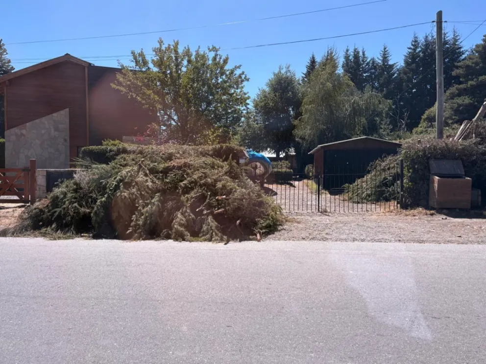 Siguen apareciendo acopios de residuos forestales en distintos puntos del ejido tras la prohibición municipal