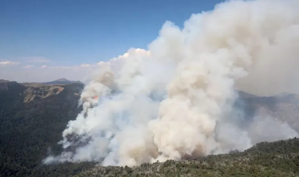 Parque Lanin: se complicó el panorama pese a que 800 personas combaten el incendio en Valle Magdalena