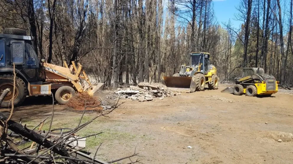 Equipos de Gobierno trabajan en predios afectados por el fuego