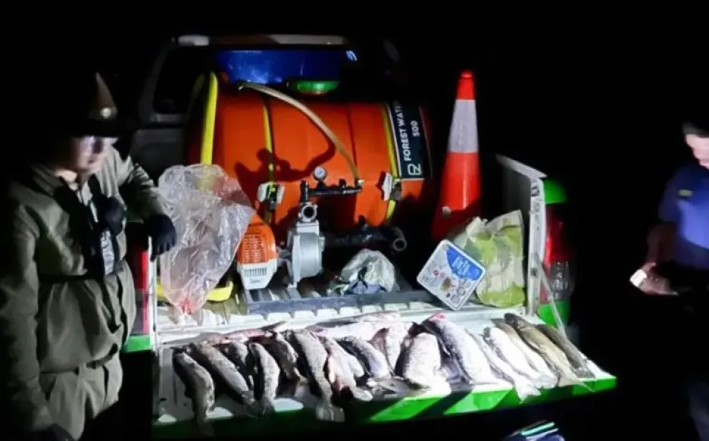 Fauna sorprendió a pescadores furtivos y apagó fuegos en el Collón Curá