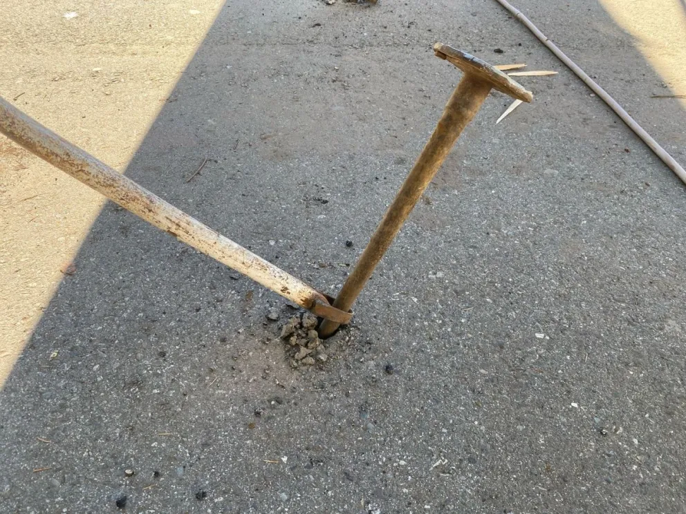 El municipio rescindió el acuerdo con el circo Dihany tras comprobar irregularidades y daños 