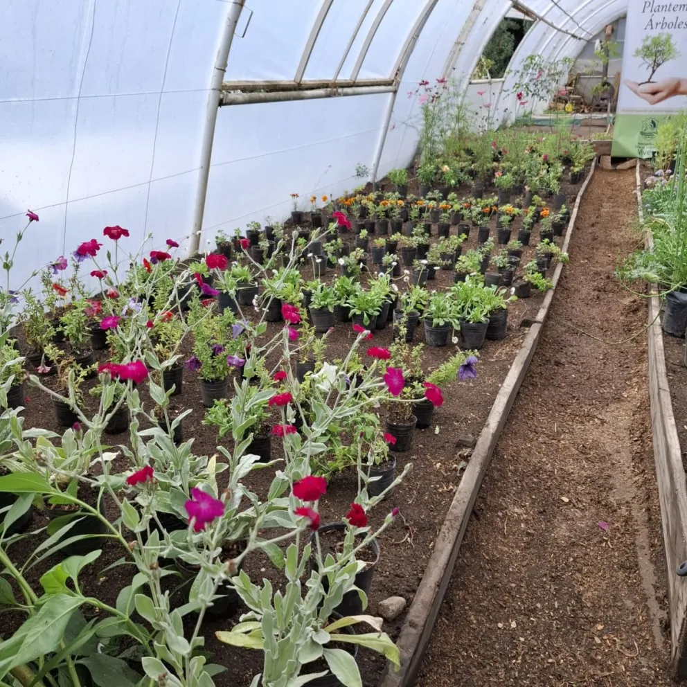 El Vivero Municipal conmemora el Día de la Mujer con entrega de plantas