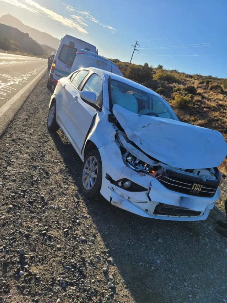 Accidente en la Ruta 40: Un ciervo se cruzó en el camino y provoca una colisión 