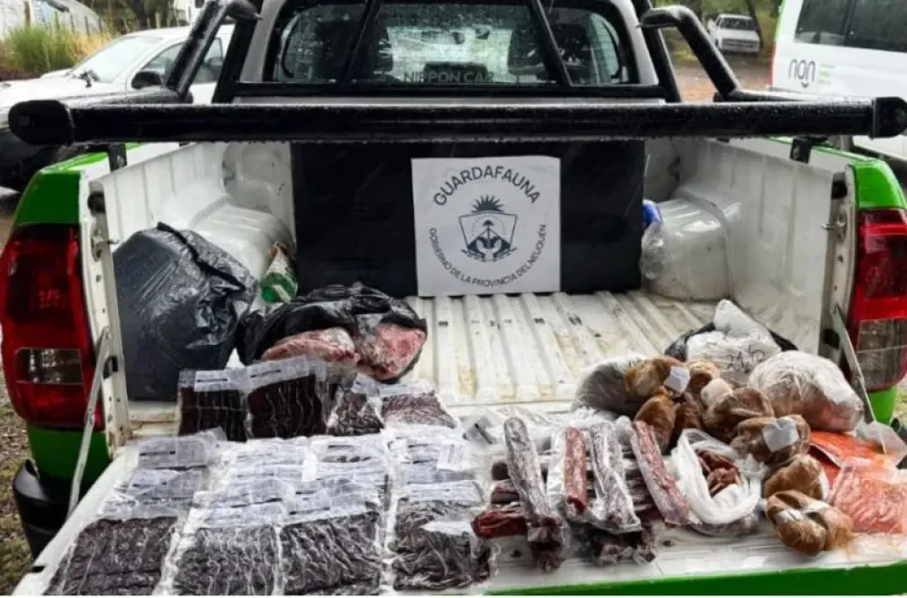 El área de Fauna Infraccionó comercios en Villa Traful por vender productos provenientes de caza ilegal