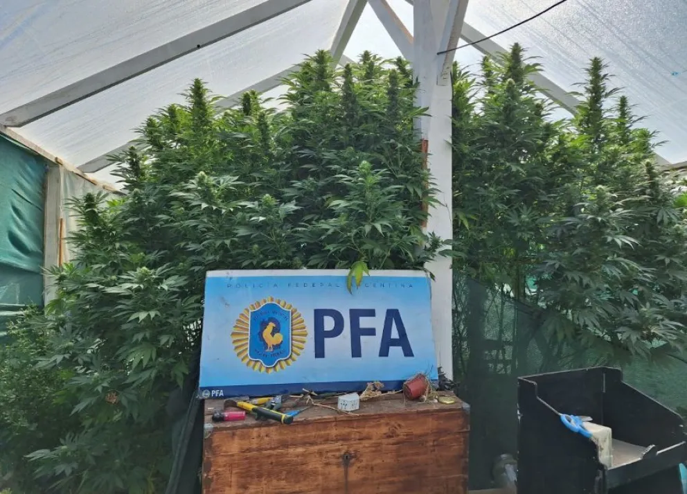 Villa Traful: Policía Federal secuestró marihuana por más de 100 millones de pesos 