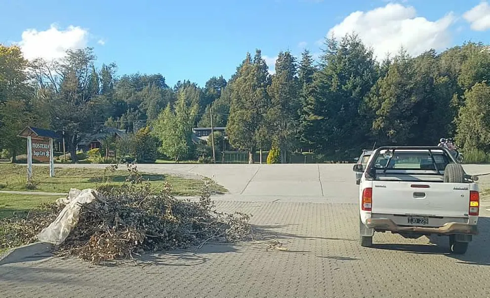 Clic Urbano: ¿Tenés residuos forestales? Dejálos donde quieras
