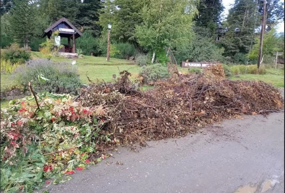 Aclaran que frente a la plazoleta de Barrio norte, se puede dejar residuos forestales