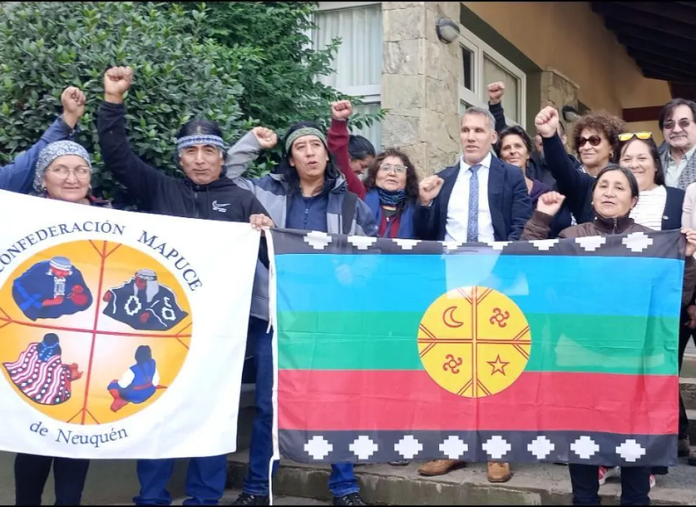 Encuesta: rechazo de los lectores de DiarioAndino a la presencia de la bandera mapuche en actos patrios