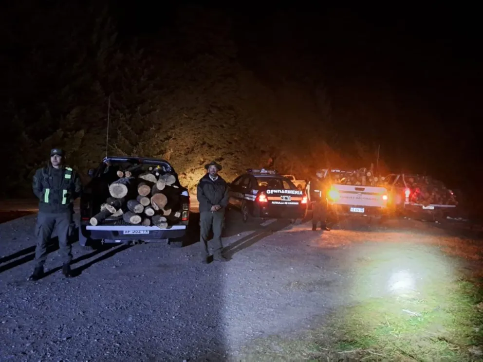 Detectan transporte ilegal de leña en el Parque Nacional Nahuel Huapi