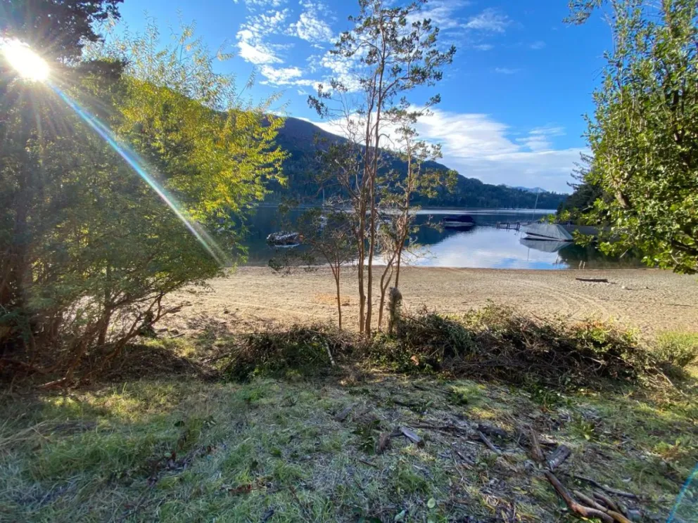 Tras la publicación de DiarioAndino, infraccionaron a un complejo turístico por tala ilegal de arrayanes en Manzano