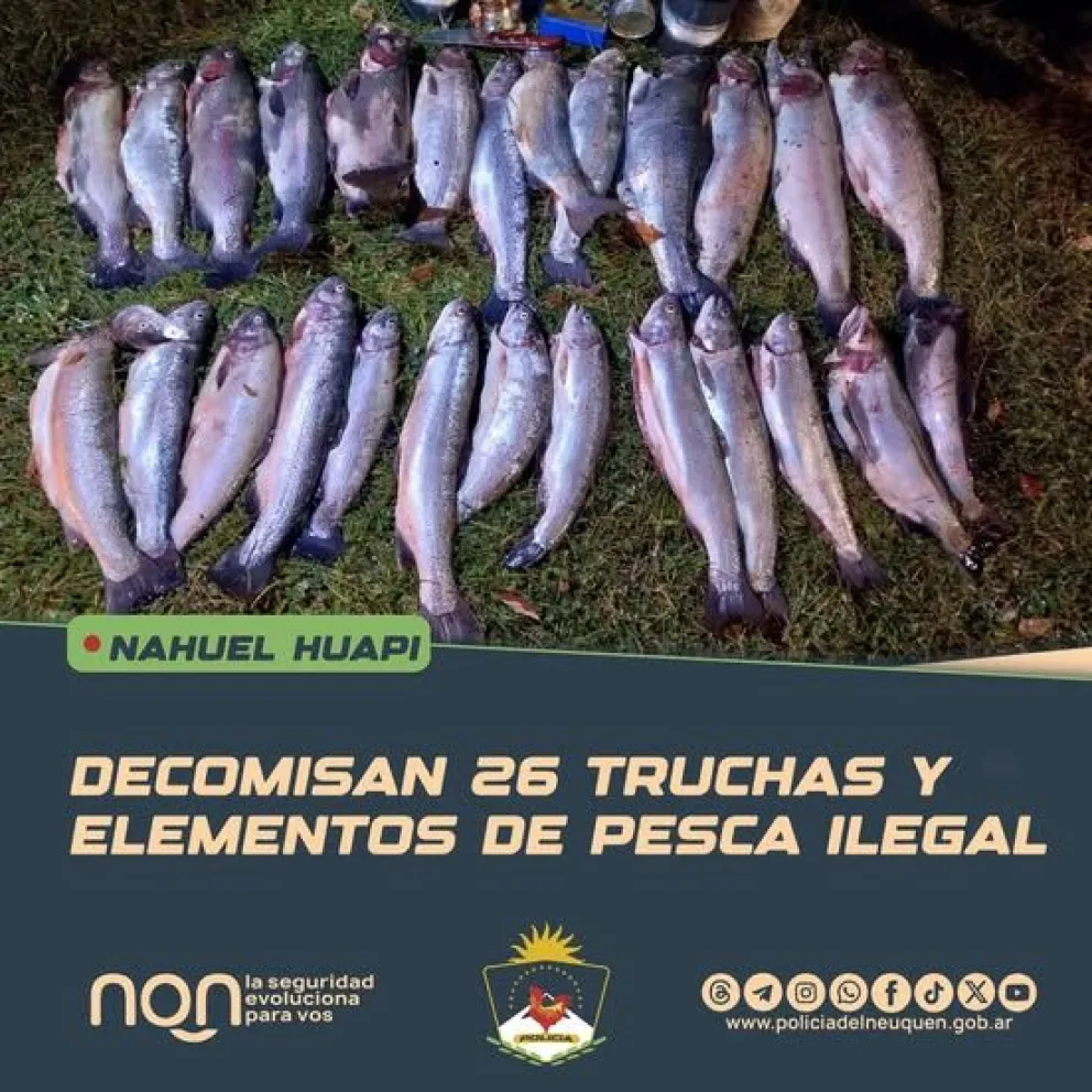 Decomisan 26 truchas y elementos de pesca ilegal en operativo en el lago Nahuel Huapi. 