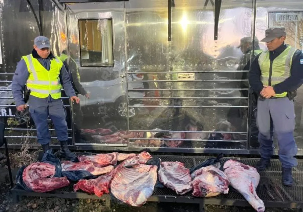 Policía realizaba un operativo turístico y terminó secuestrando 80 Kg de carne