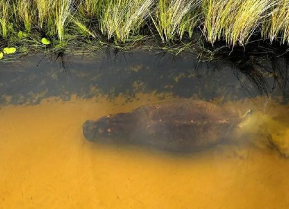 La naturaleza desde el aire