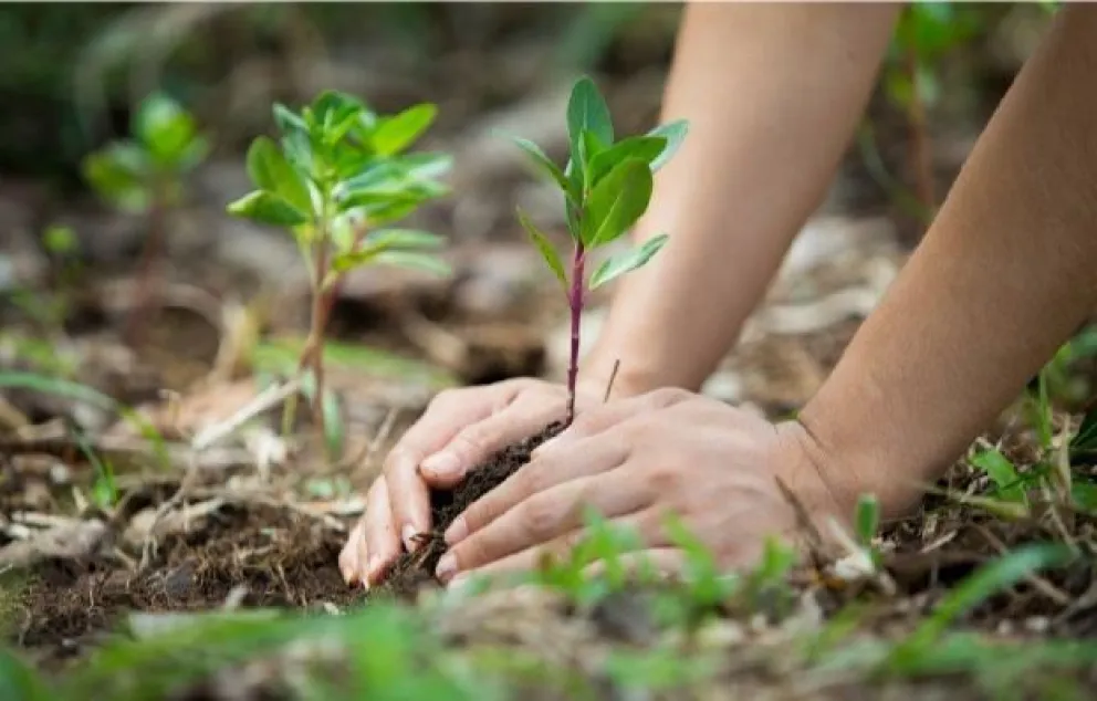 Calendario Ambiental: Celebramos al Medio Ambiente