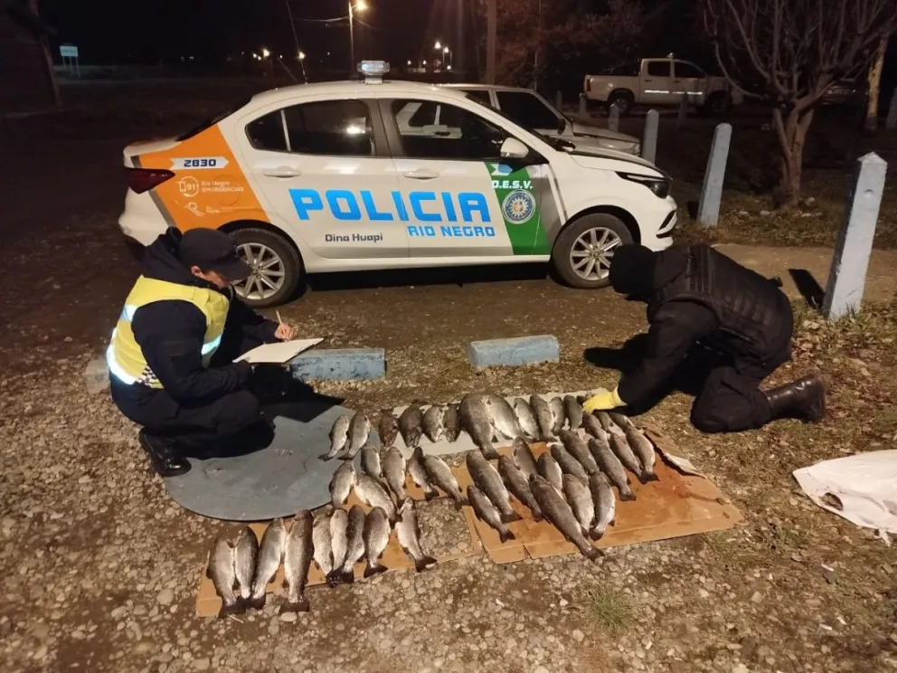 Policía secuestró 43 truchas pescadas de forma furtiva en un operativo sobre la Ruta 40