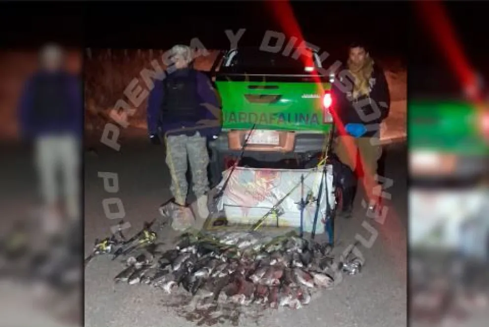 Más de 50 truchas decomisadas en un operativo de control de pesca en la zona cordillerana