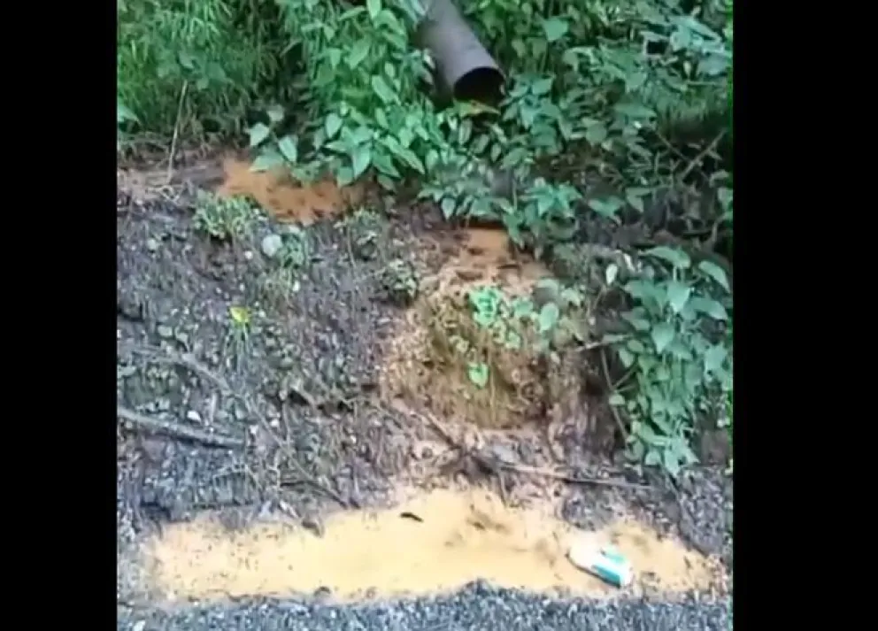 Clic Urbano: un vecino advirtió sobre un “llamativo” vertido de líquidos en la zona de Bandurrias