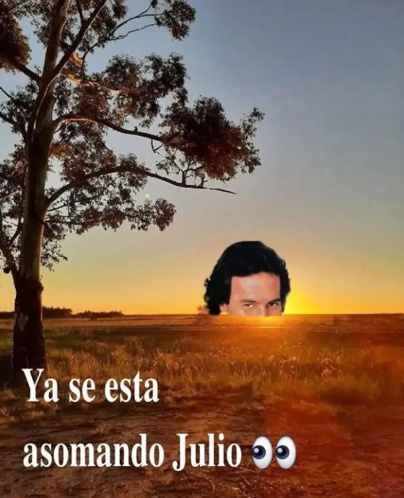 Redes: cada vez más creativos de los Memes de Julio